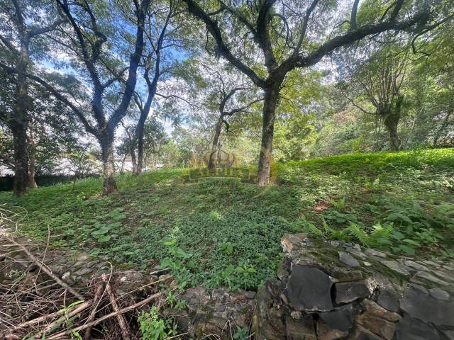 Terreno em condomínio para Venda em Barueri - 5