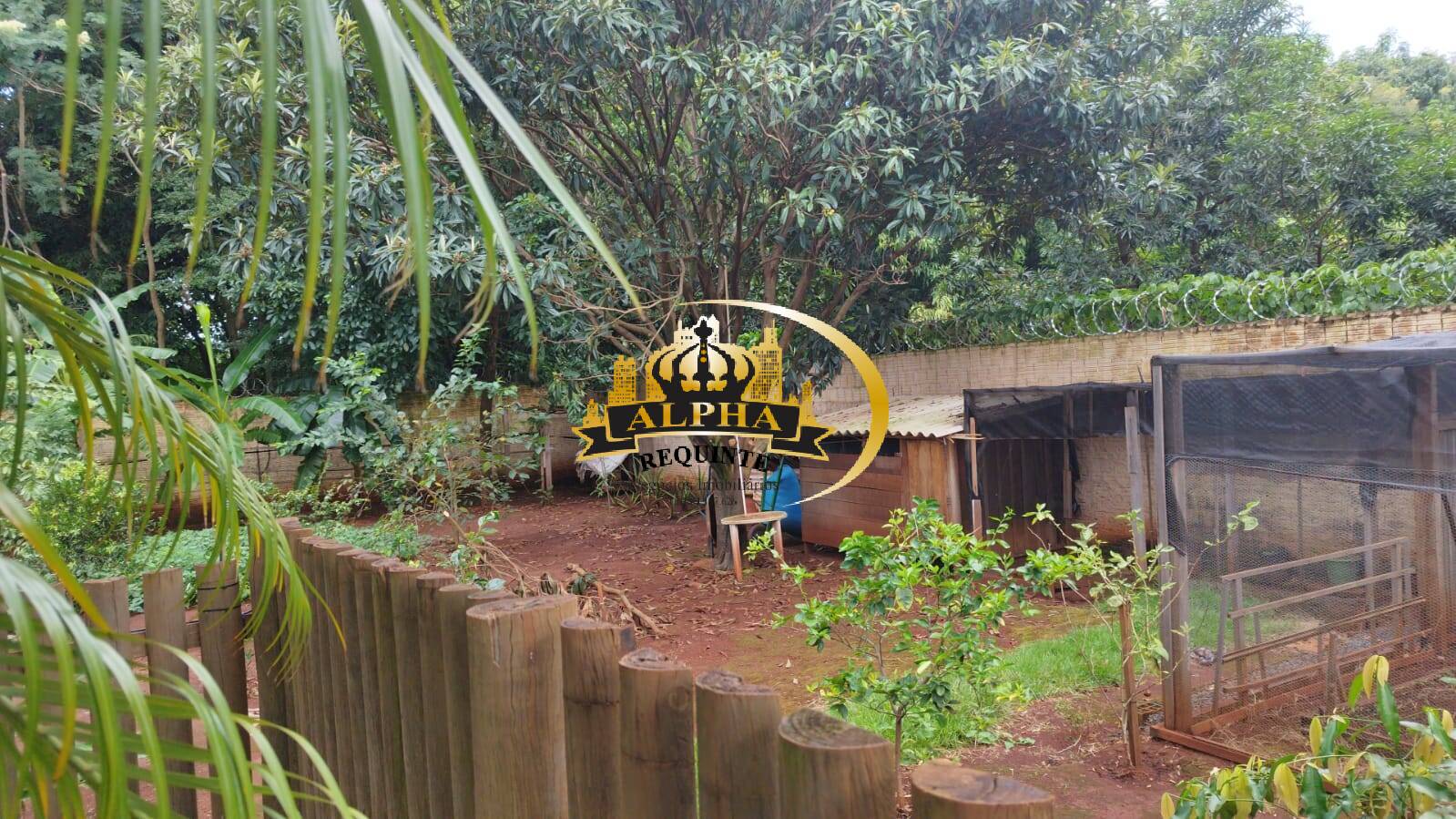 Sítio, 3 quartos, 3500 m² - Foto 14