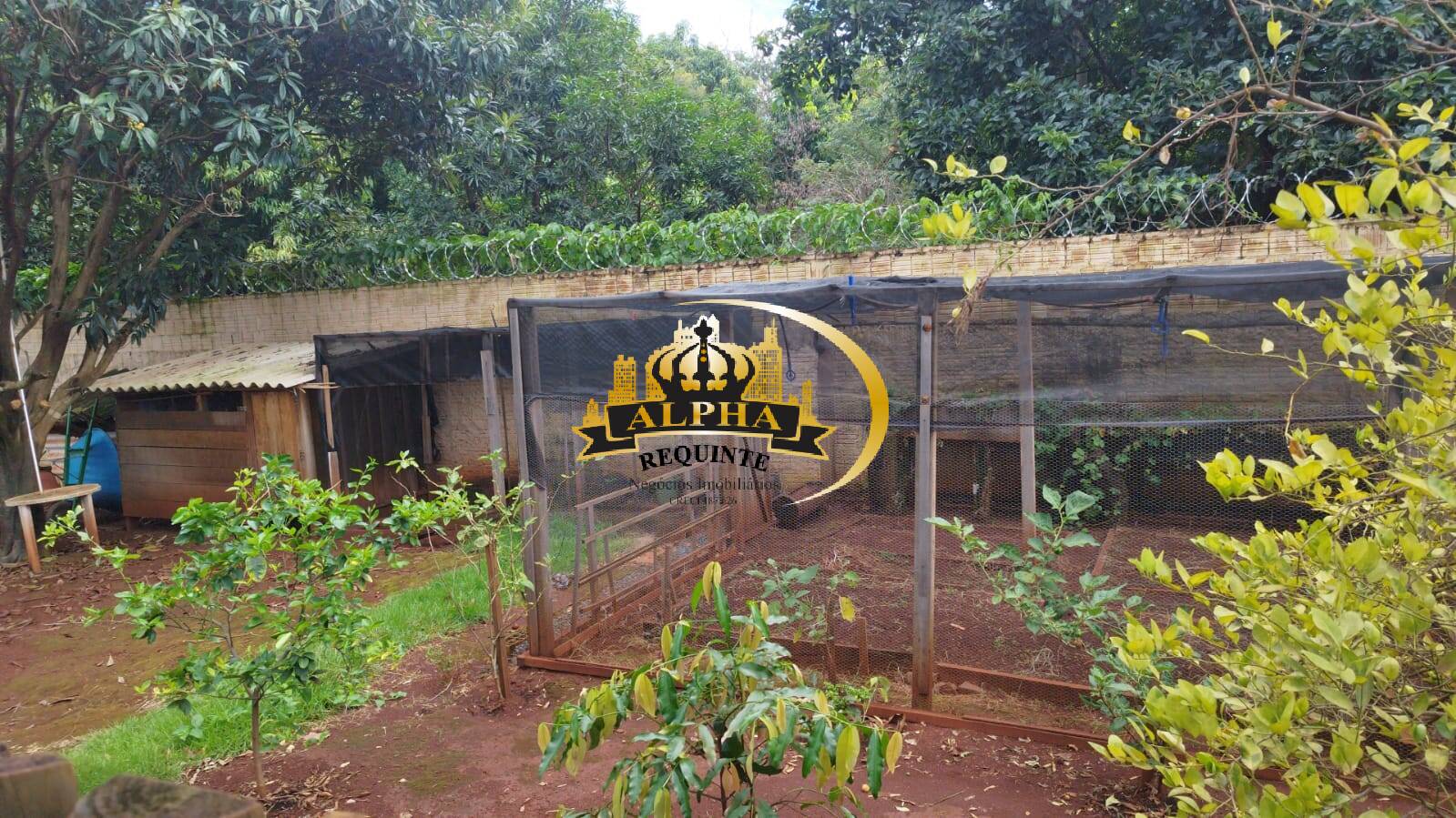 Sítio, 3 quartos, 3500 m² - Foto 27