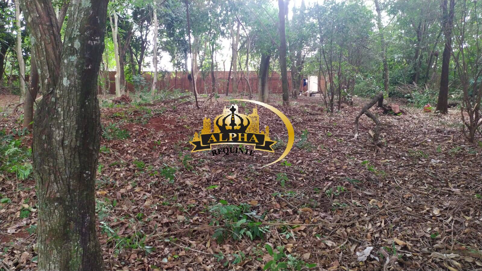 Sítio, 3 quartos, 3500 m² - Foto 34