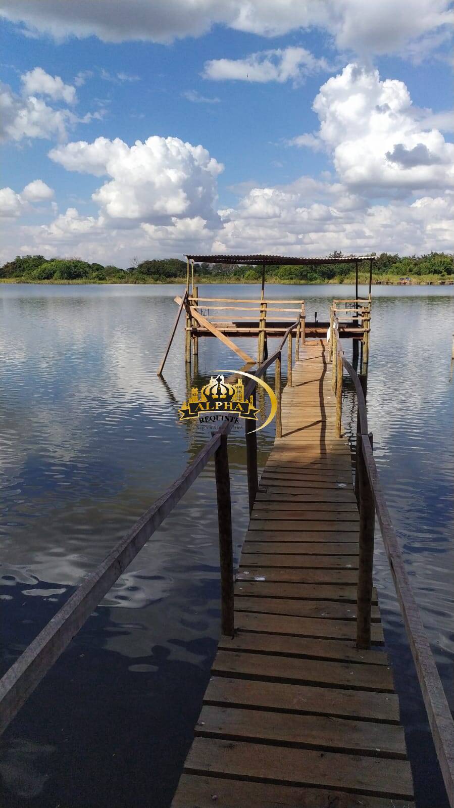 Sítio, 3 quartos, 3500 m² - Foto 3