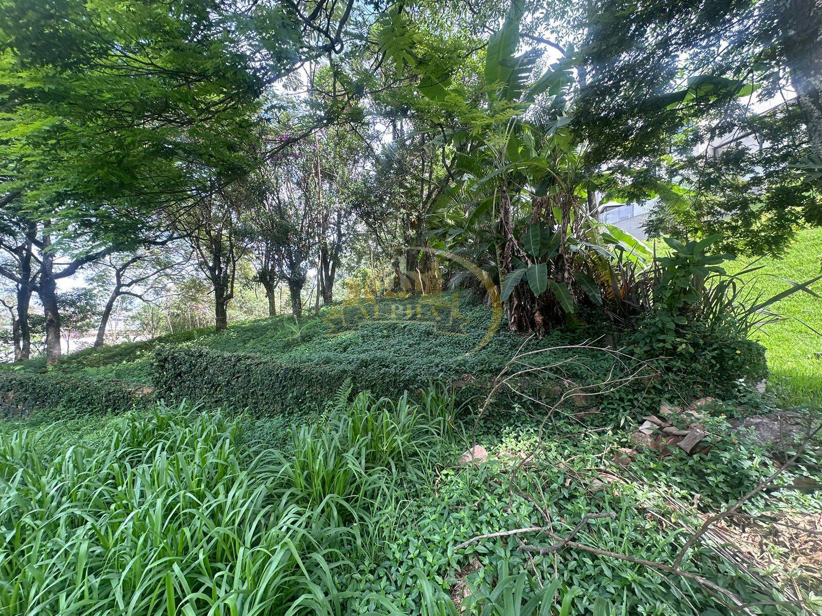 Terreno, 1700 m² - Foto 3