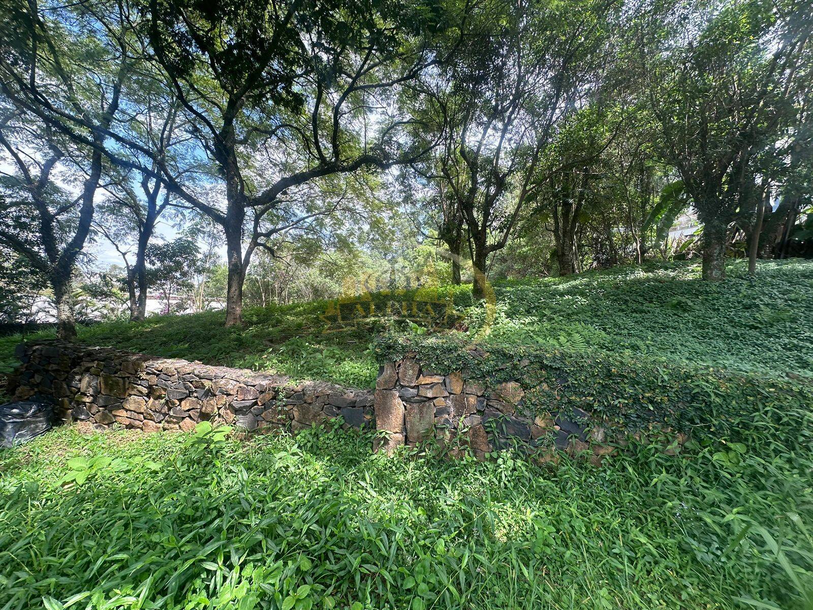 Terreno, 1700 m² - Foto 4