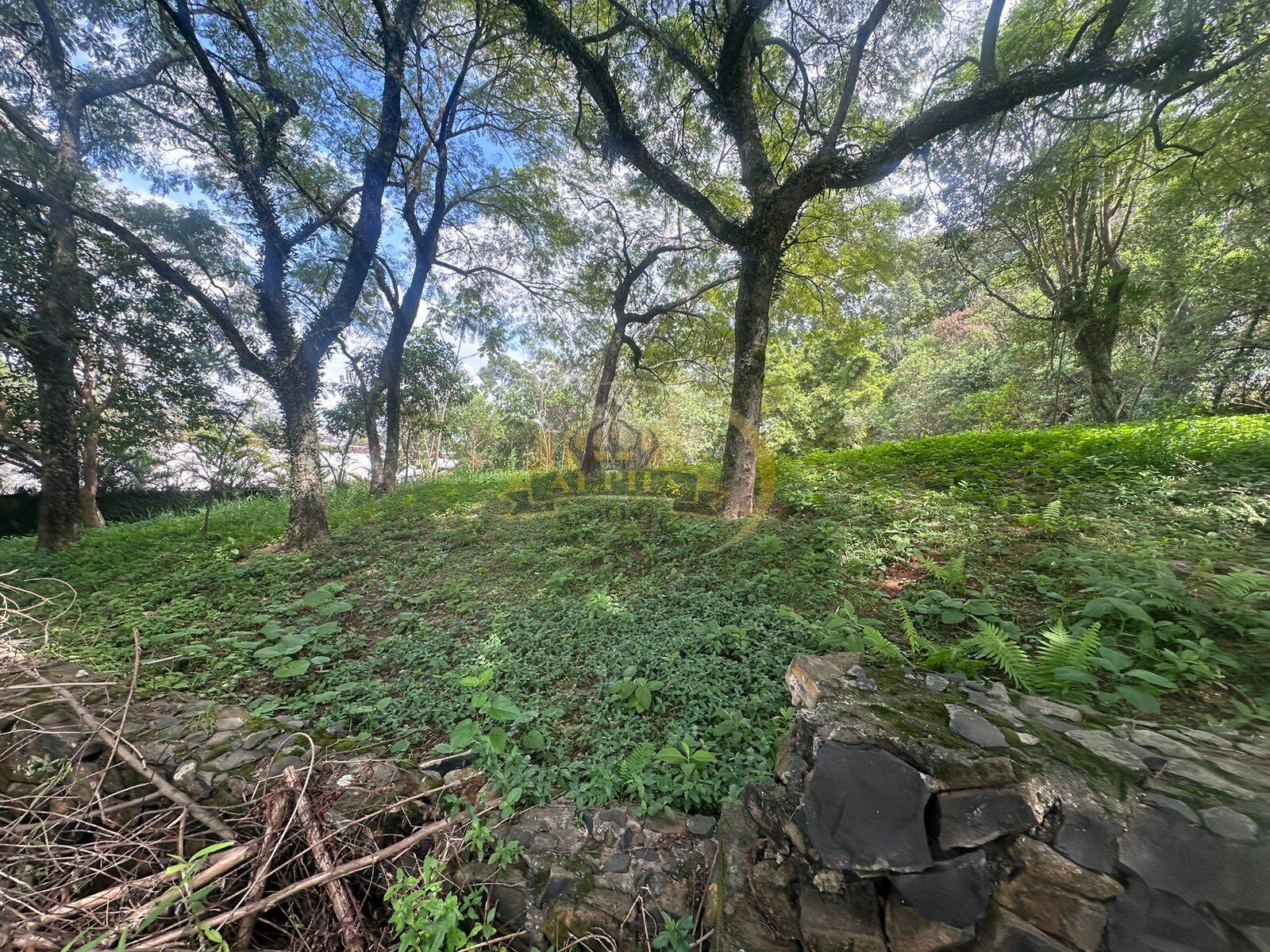 Terreno, 1700 m² - Foto 5