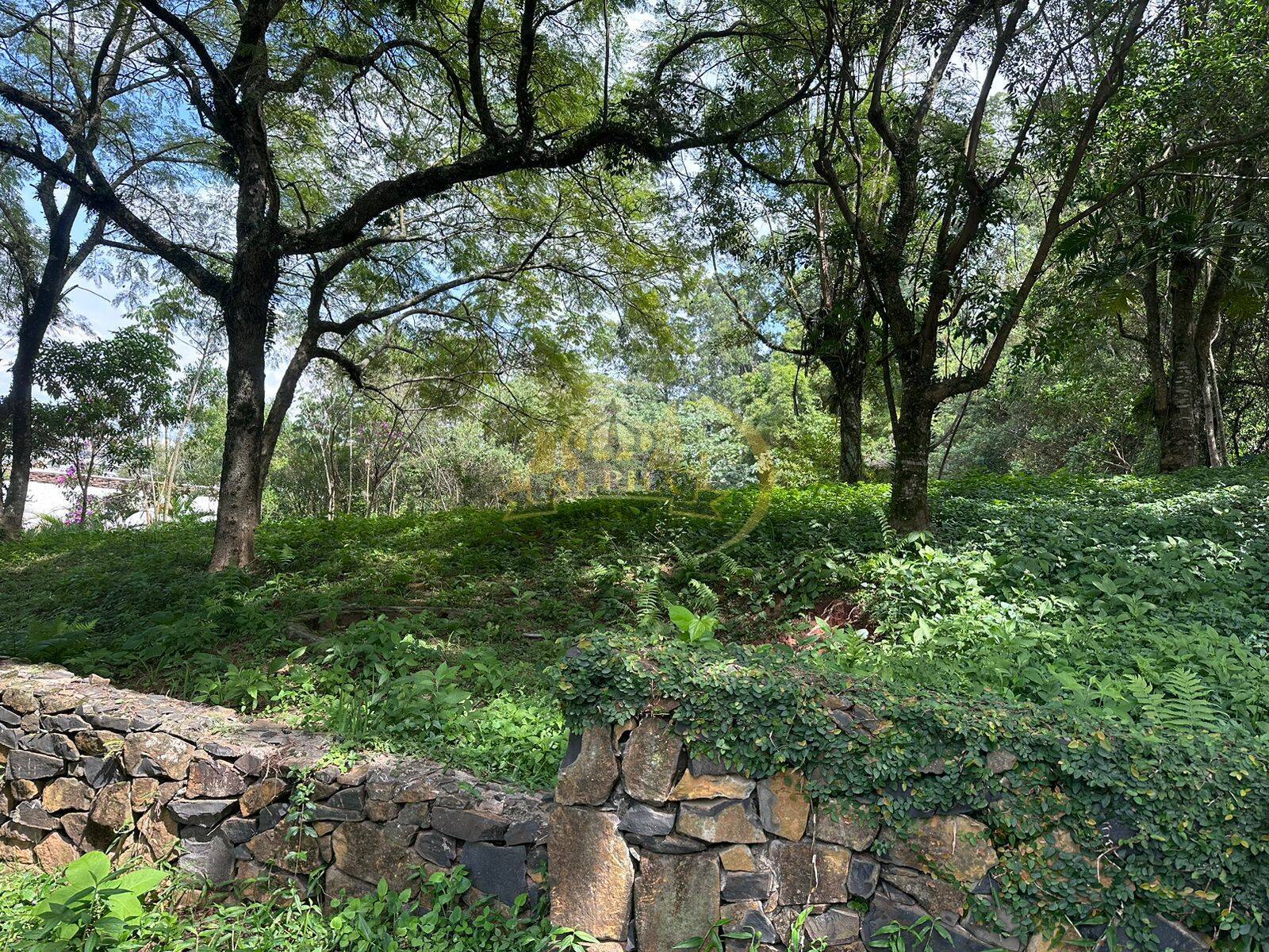 Terreno, 1700 m² - Foto 6