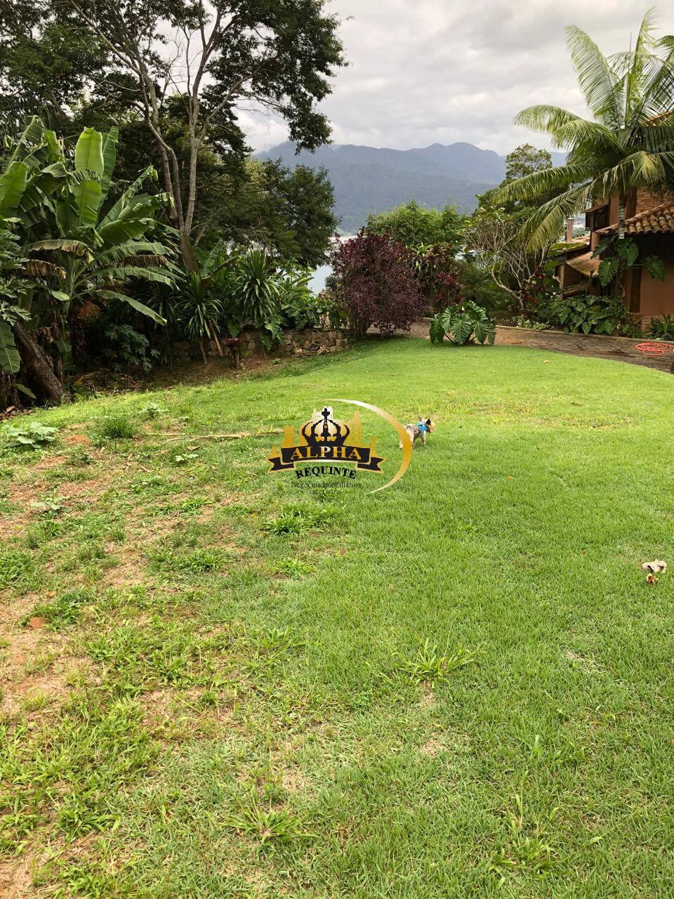 Terreno, 1000 m² - Foto 5