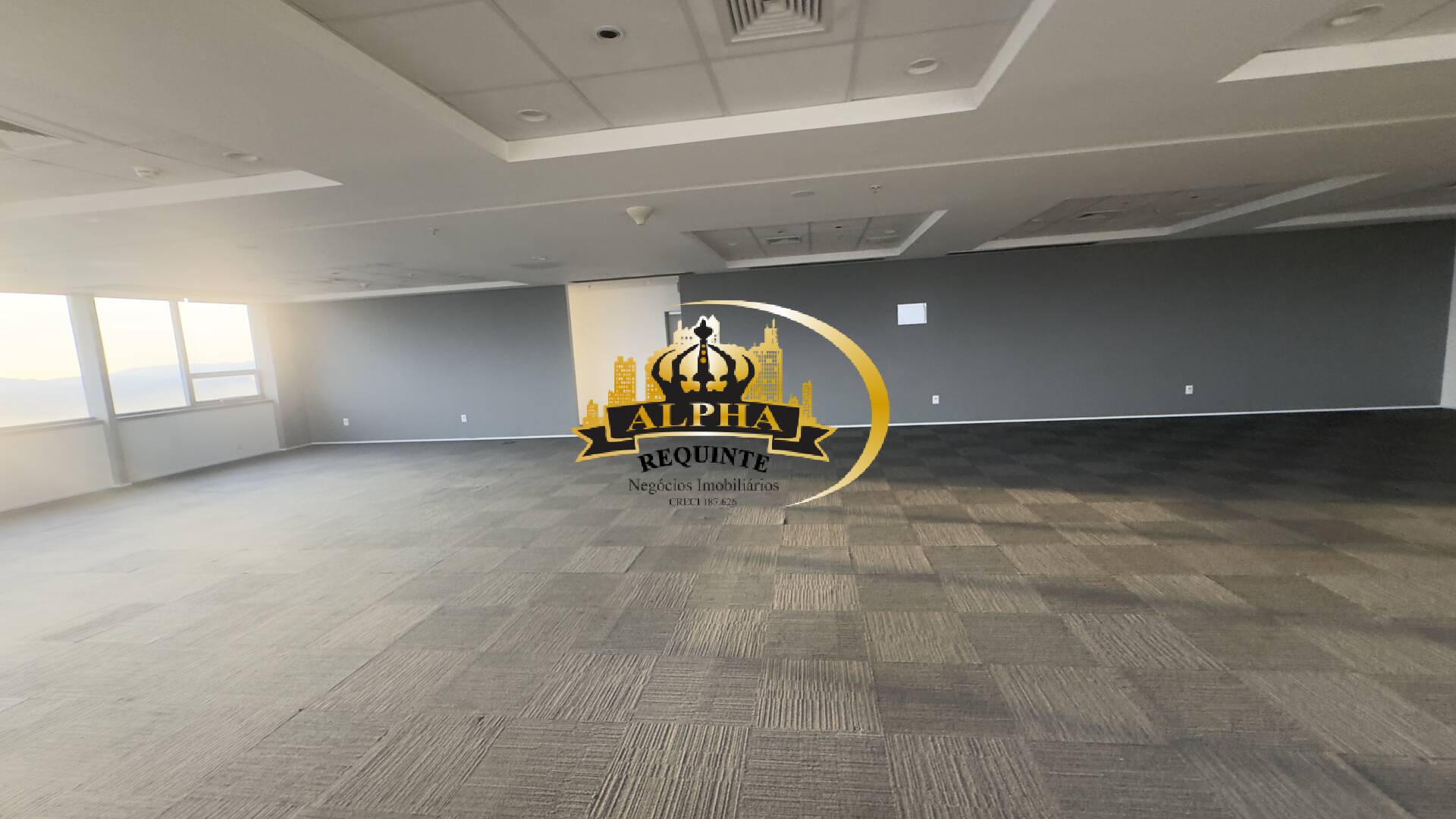 Sala-Conjunto, 1145 m² - Foto 4