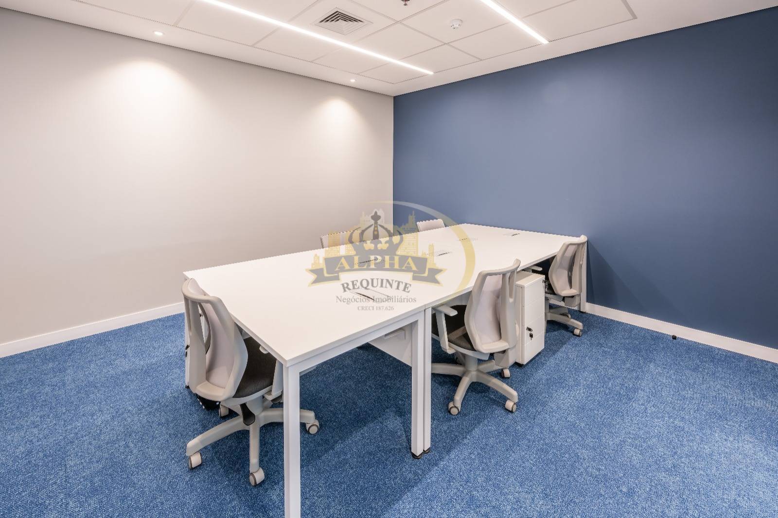 Sala-Conjunto, 380 m² - Foto 3