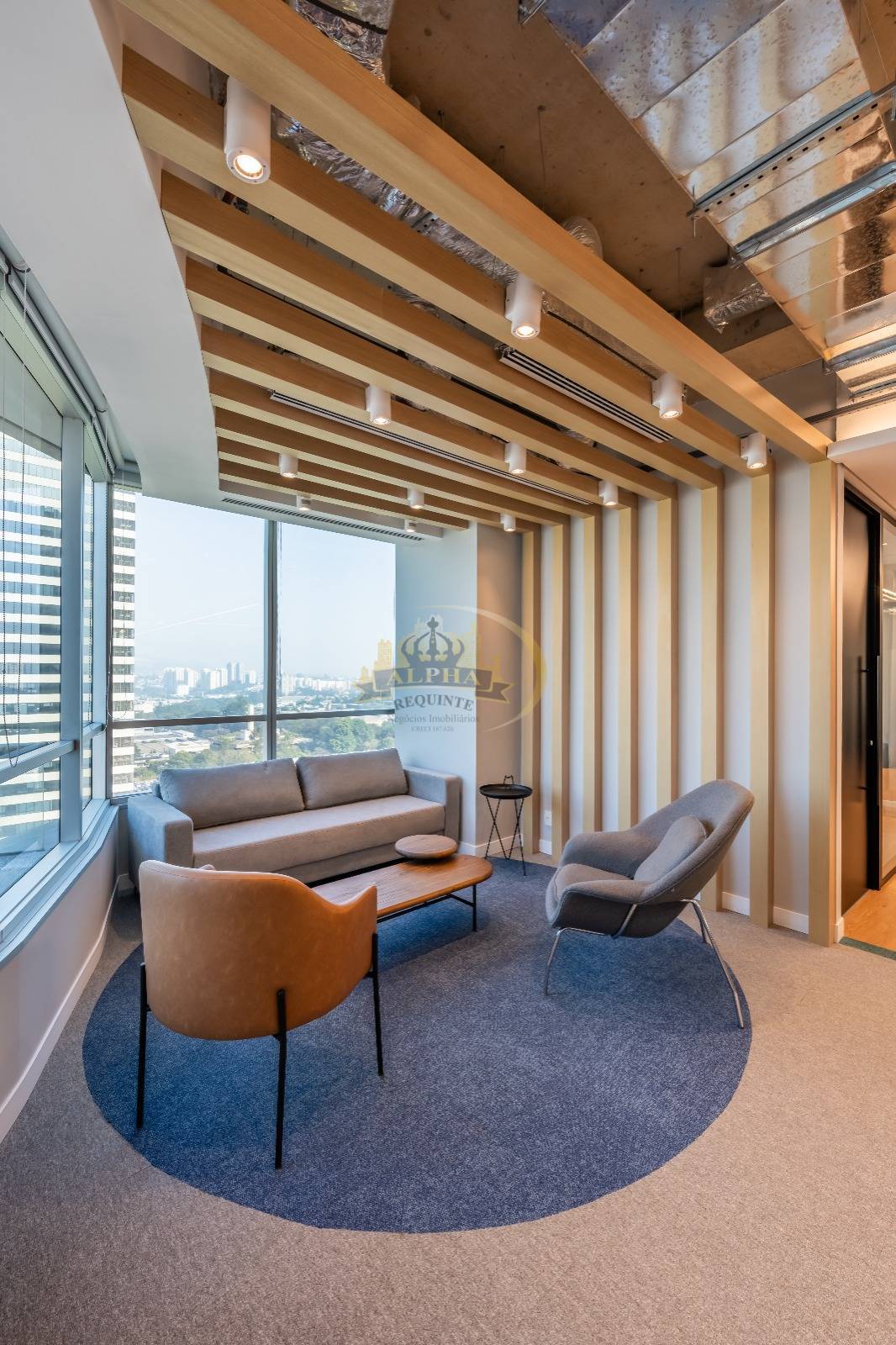 Sala-Conjunto, 380 m² - Foto 7