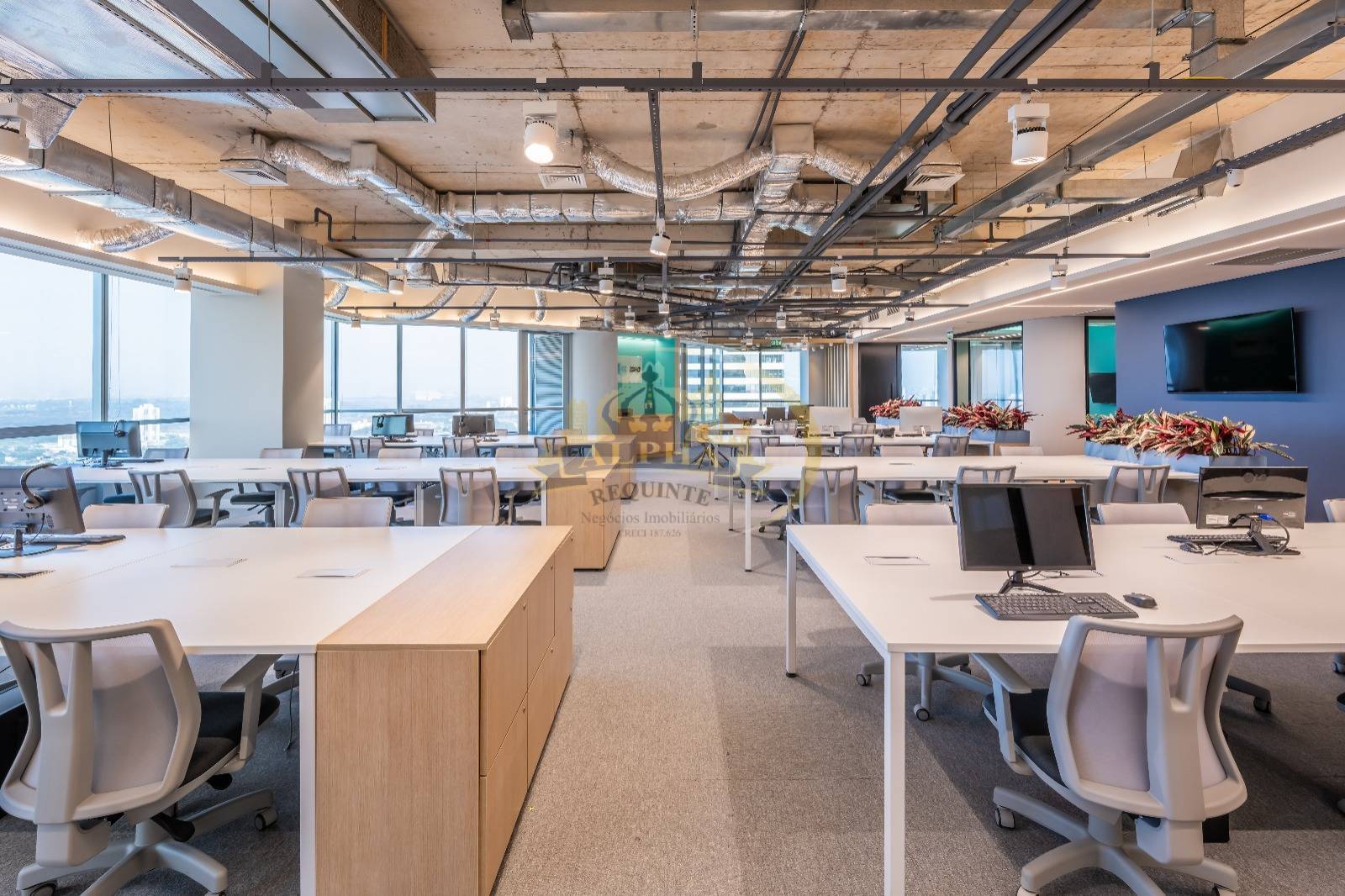 Sala-Conjunto, 380 m² - Foto 6