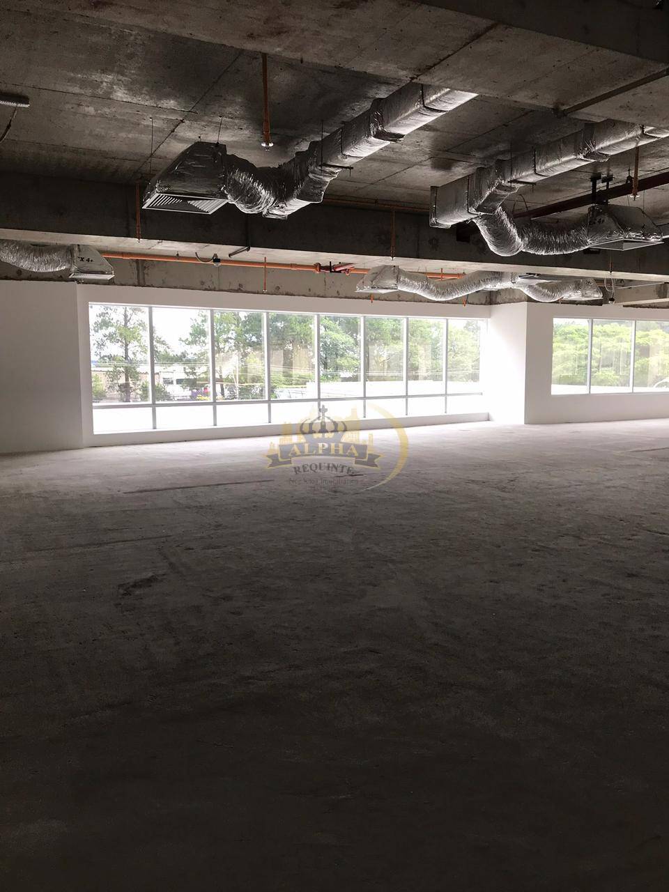 Sala-Conjunto, 500 m² - Foto 1