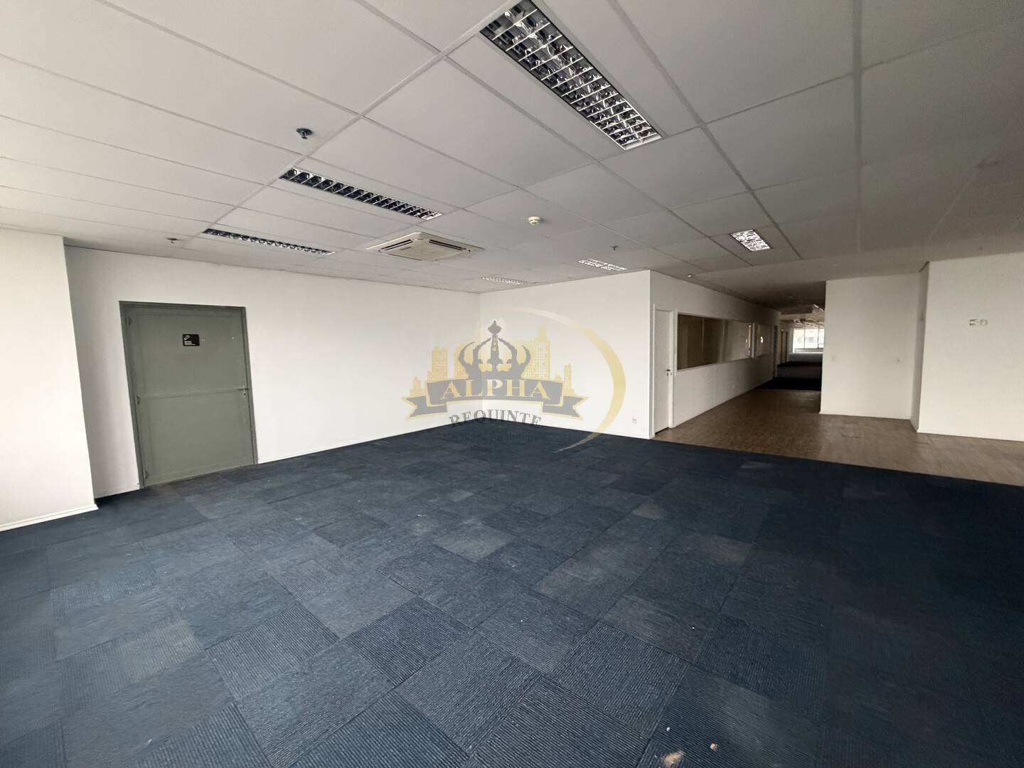 Sala-Conjunto, 1298 m² - Foto 6