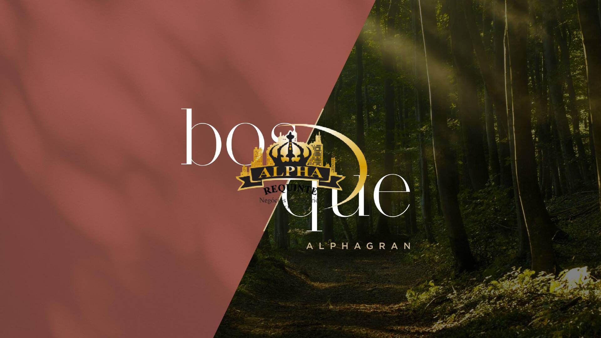 Apartamento, 3 quartos, 81 m² - Foto 27