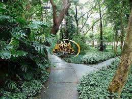 Apartamento, 3 quartos, 243 m² - Foto 5